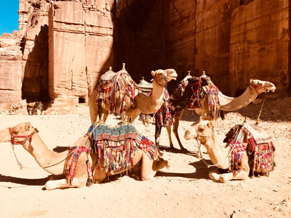 Jordania by Himba, Desierto, Mar Muerto y Mar Rojo