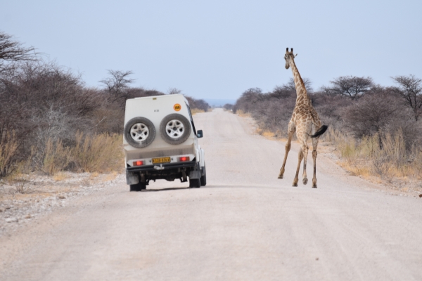 Safari Namibia en grupo reducido