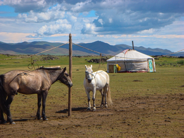 Mongolia, desierto de Gobi