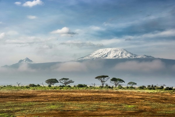 Kenia, Soñé con África 2025