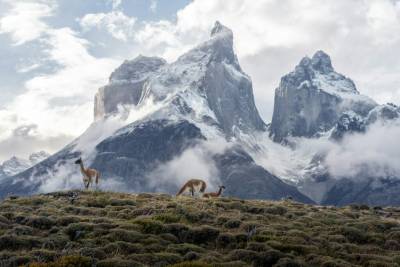 Andes Ecuatoriales 2026