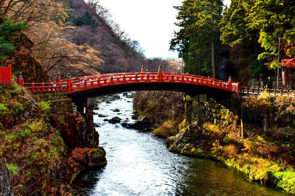 Grupo Japón Confort, Mayo 2025