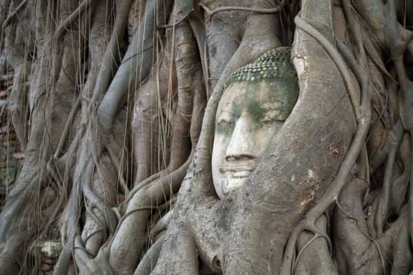 Combi Vietnam y Tailandia