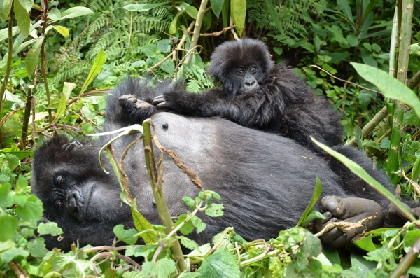 Uganda en Camión