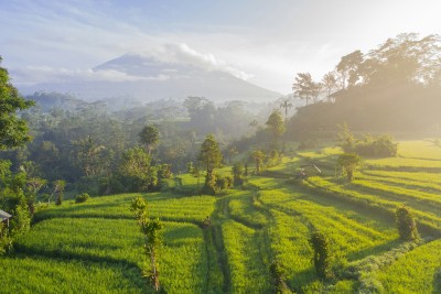 Safari en Bali, Islas Gilis y Nusa Penida