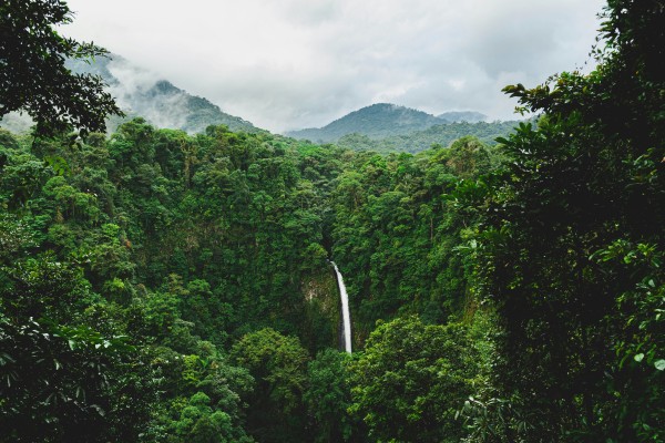 Costa Rica, esencia Tica y Manuel Antonio