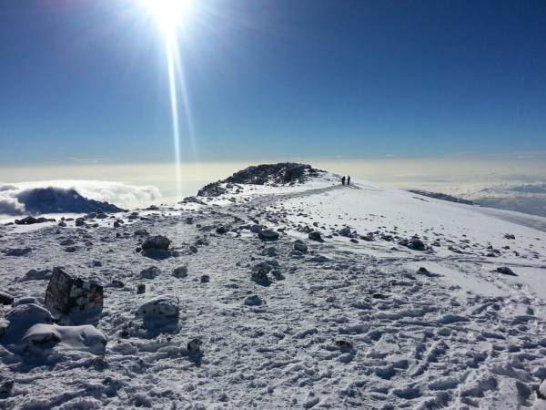 Asciende al Kilimanjaro