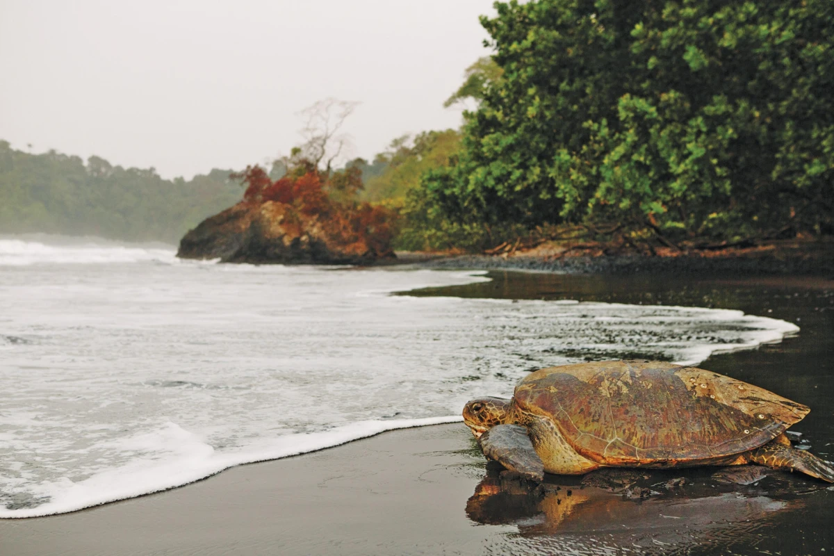 Guinea Equatorial, Islas de Bioko y Annobón