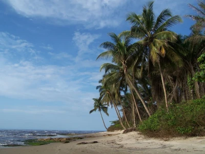 Palmeras en la Nieve,  Guinea Equatorial