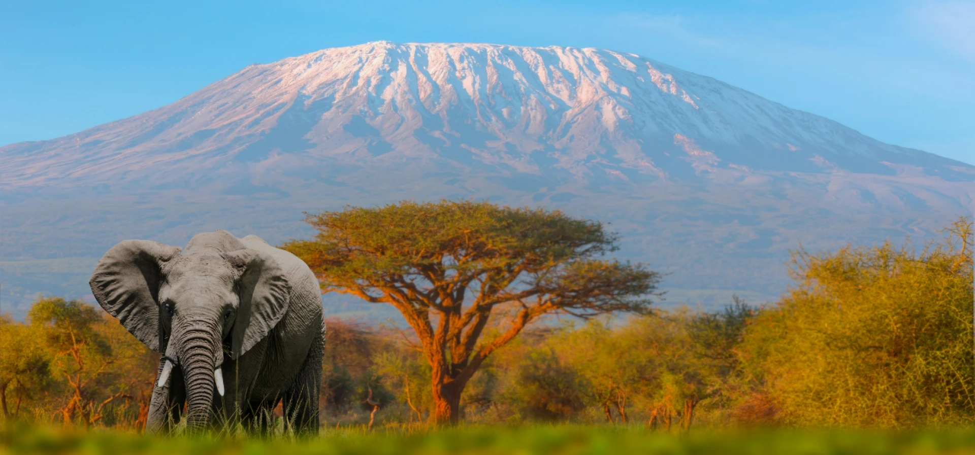 Tanzania trekking Kilimanjaro & Estancia en Zanzíbar