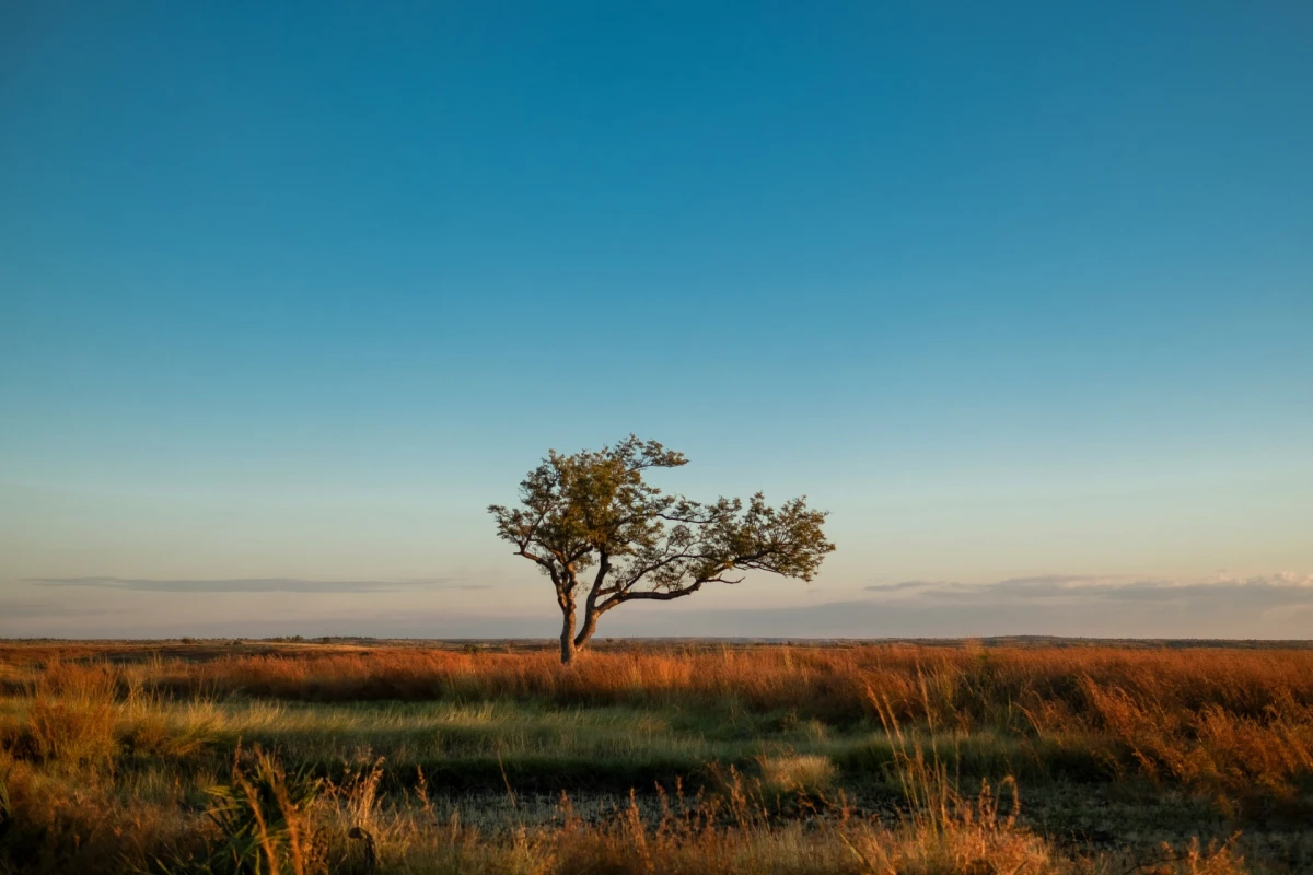 Madagascar, la Isla Roja con extensión a la avenida de los Baobabs