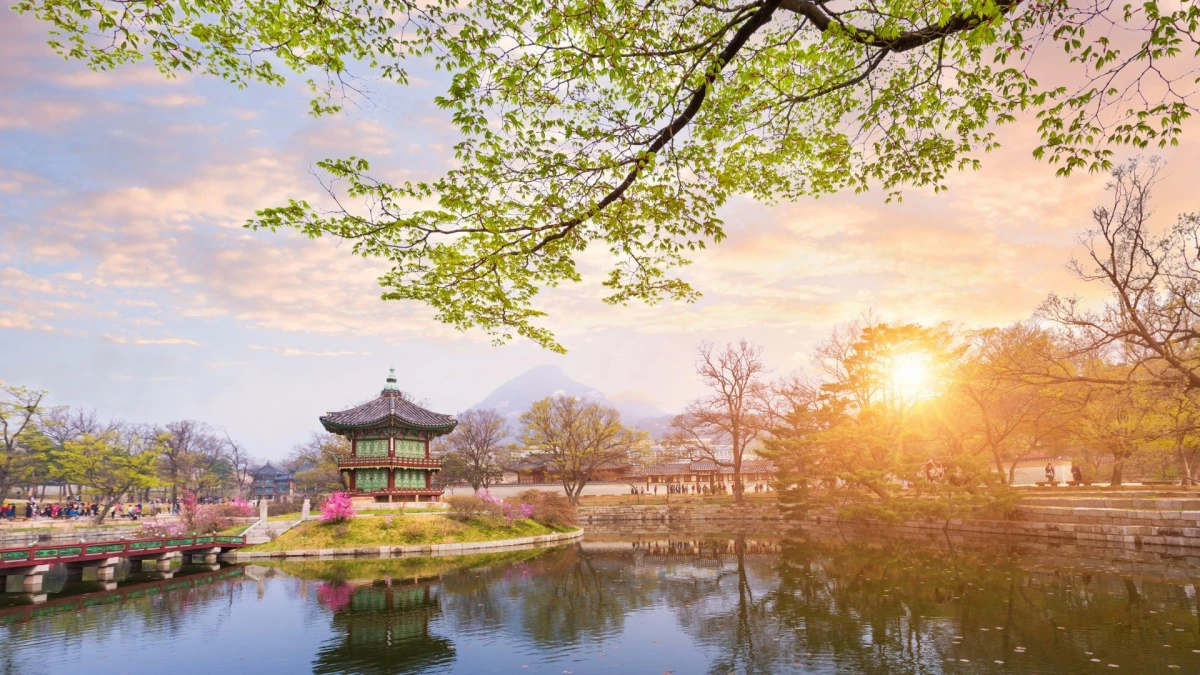 Coreapón by Himba, Corea del Sur e Isla de Kyushu, Japón - Agosto 2026