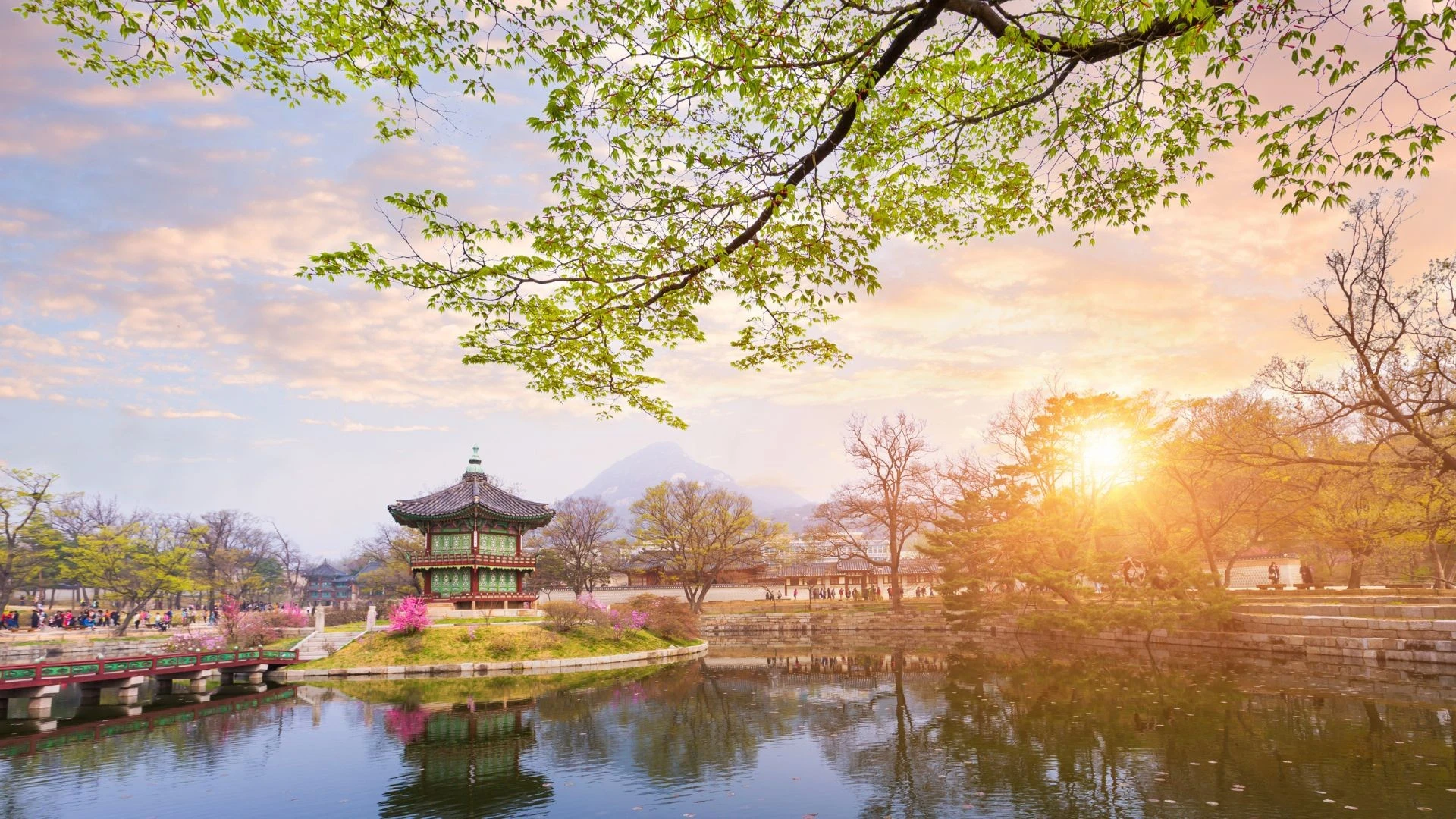 Coreapón by Himba, Corea del Sur e Isla de Kyushu, Japón - Agosto 2026