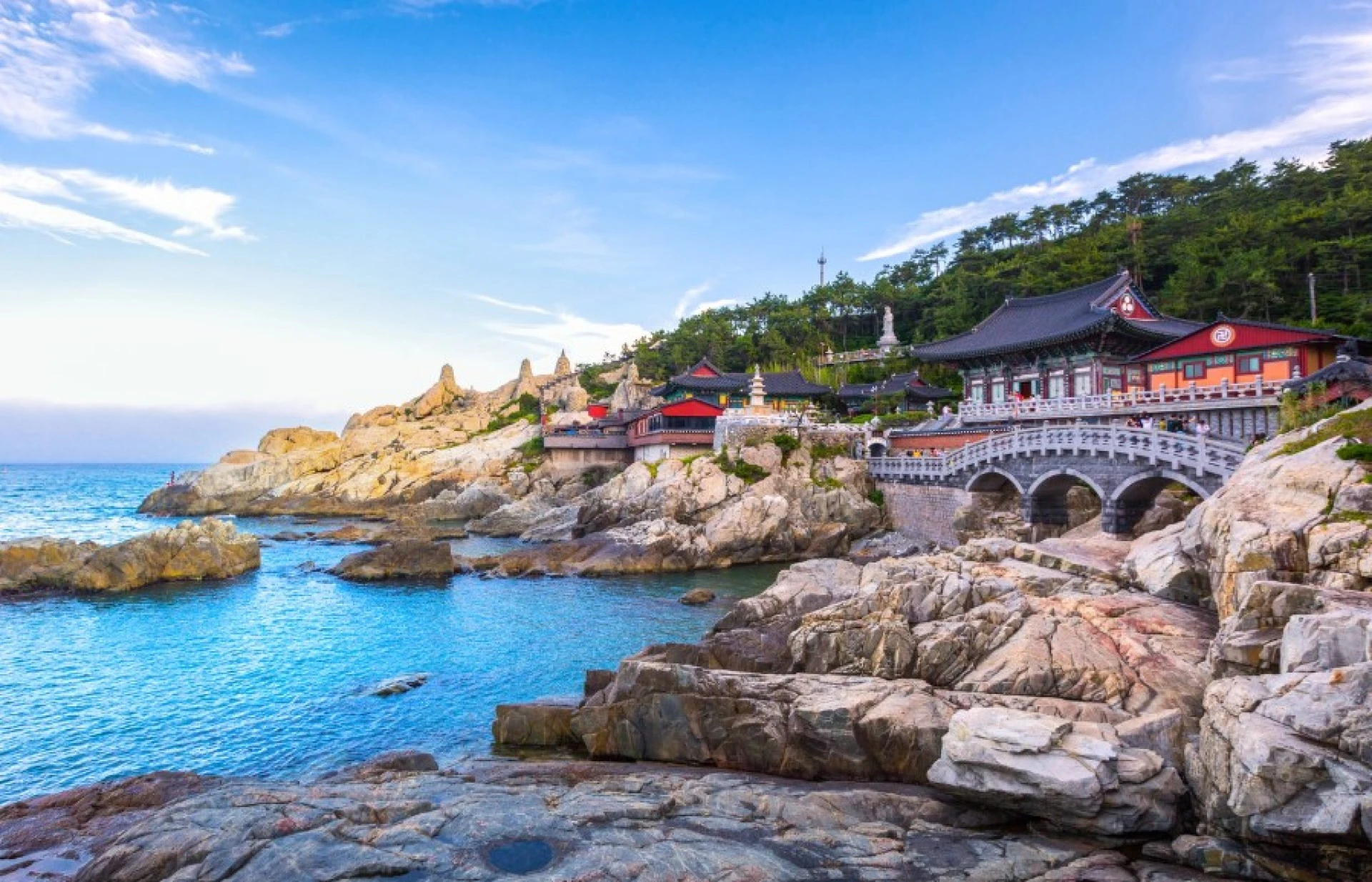 Coreapón by Himba, Corea del Sur y Japón - A medida