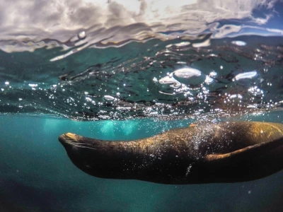 Maravillas de Ecuador y Galápagos 2026
