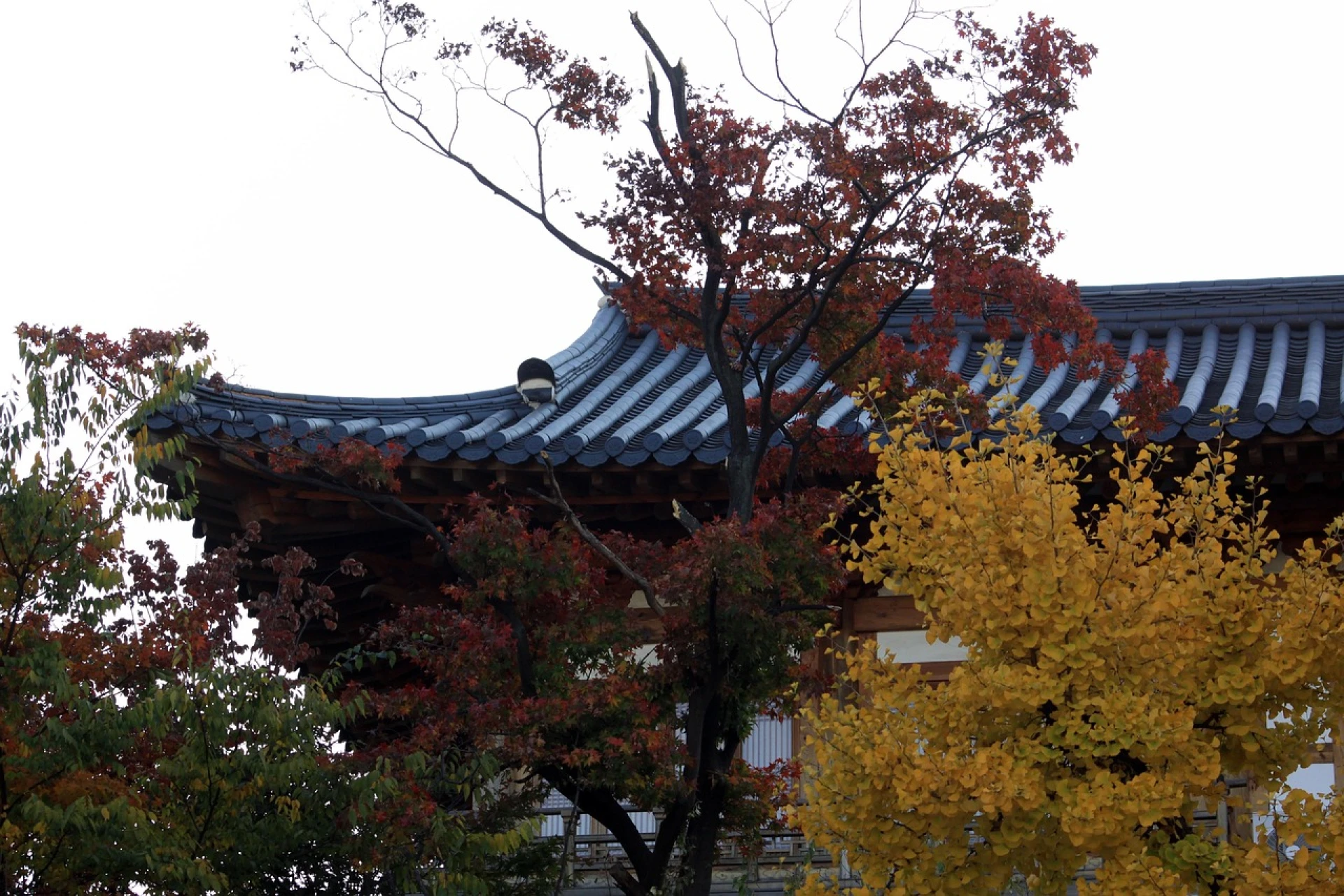 El arte de vivir coreano 2026