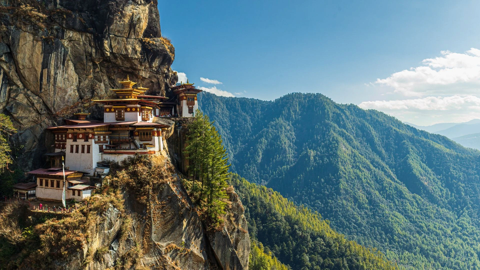 Butan Ancestral By Himba