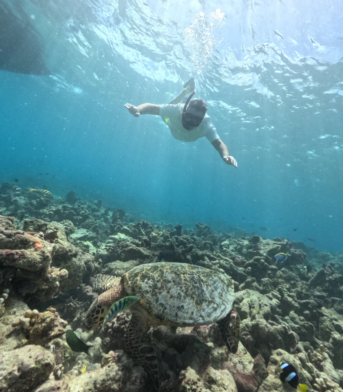 Maldivas en Isla local; Fulidhoo & Maafushi