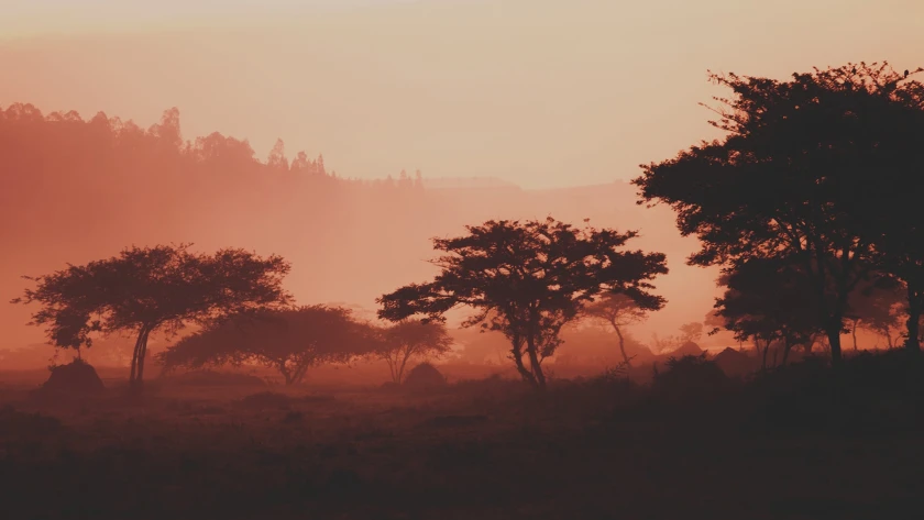 Viajes en Sudáfrica
