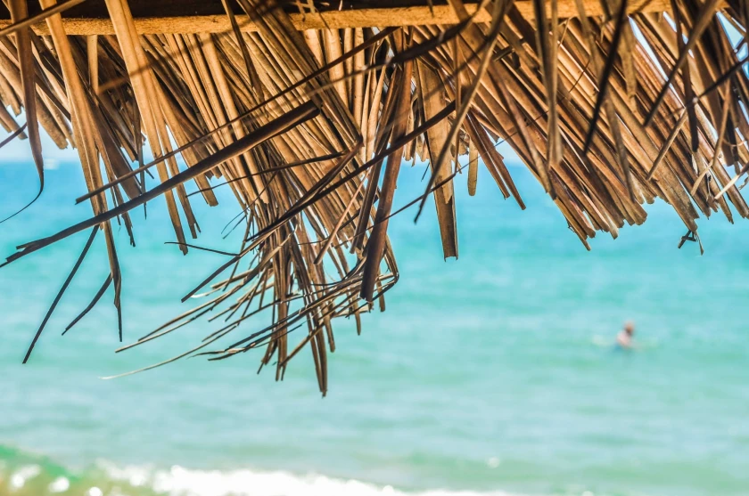 Viajes en República Dominicana