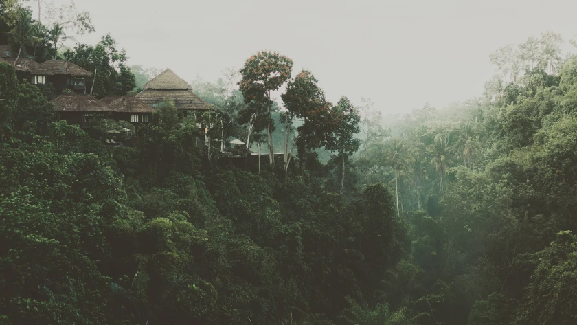 Viajes en Indonesia